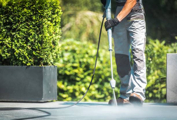 Trusted Springfield, MA Pressure Washing Services Experts